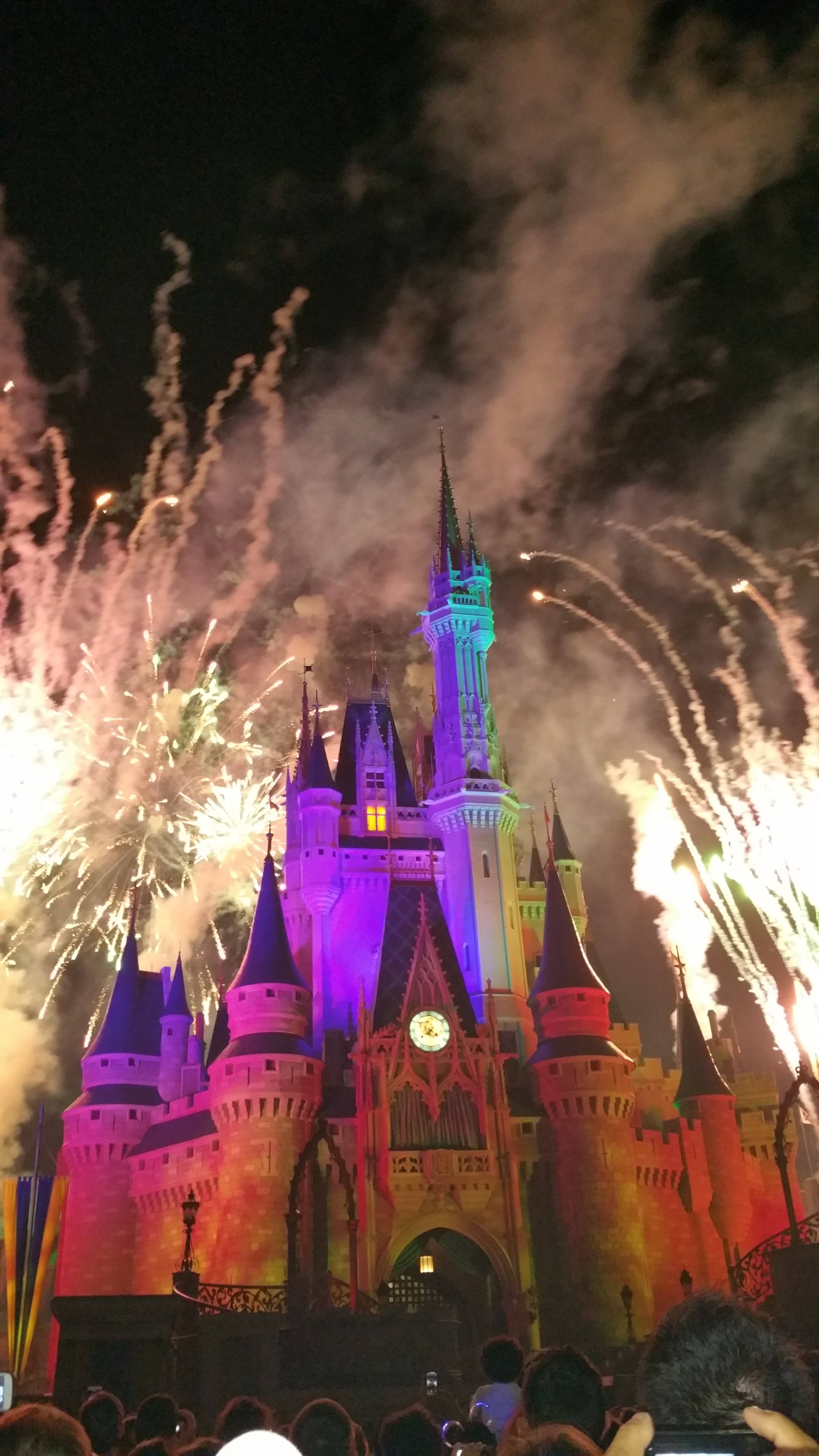 Disney's Magic Kingdom Fireworks, Orlando, FL