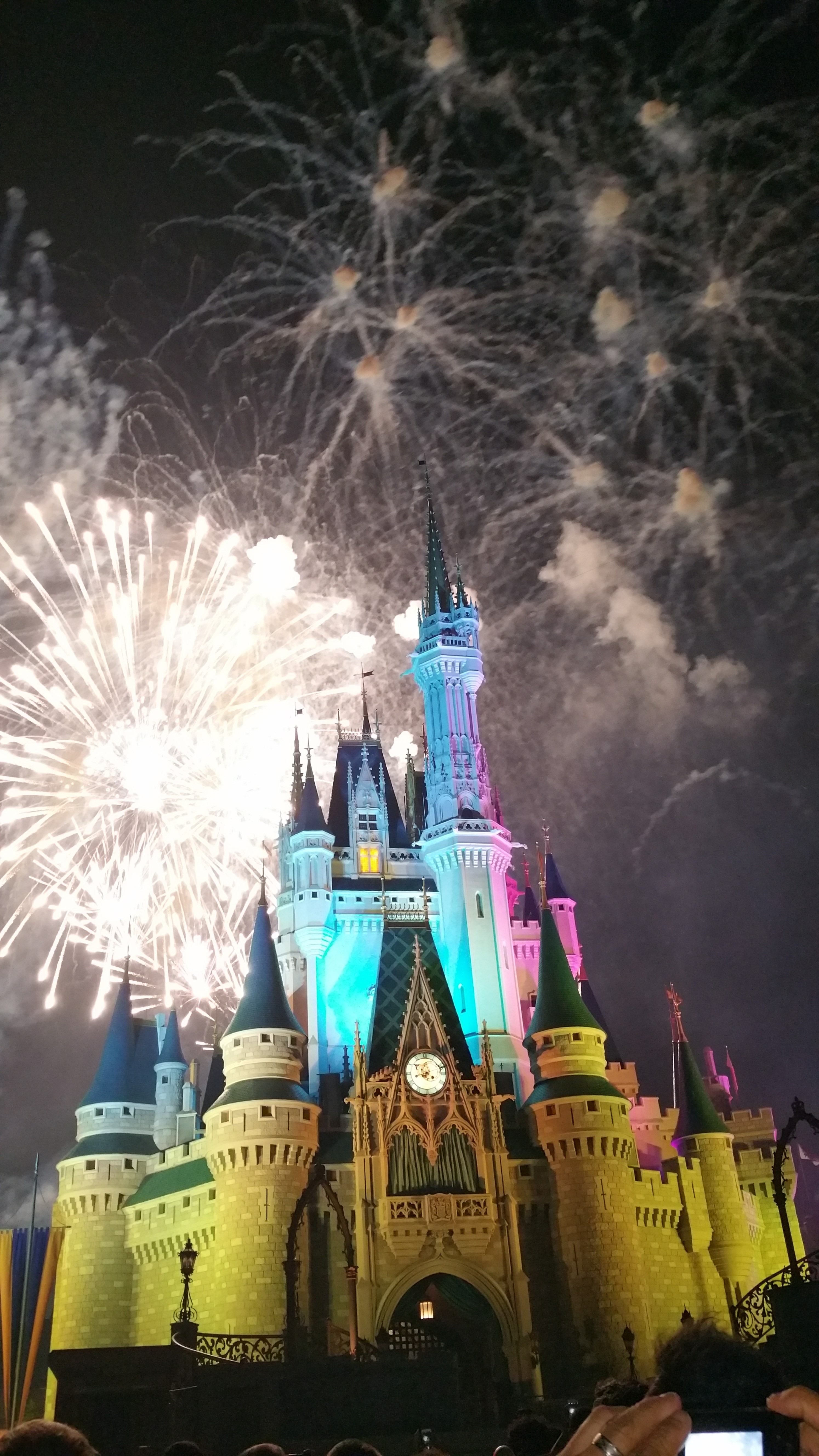 Disney's Magic Kingdom Fireworks, Orlando, FL